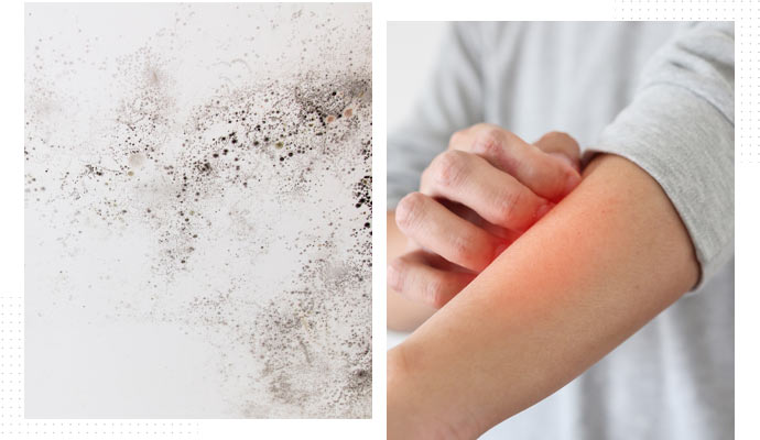 Health Issues for Black Mold