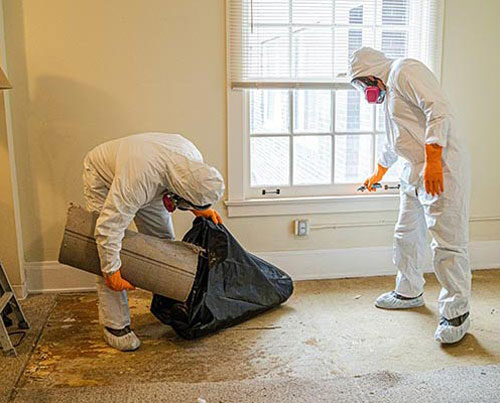 Cleanup team restoring a trauma scene.