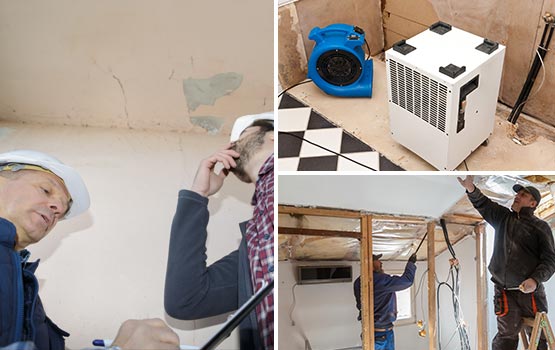 inspecting and working for damage restoration