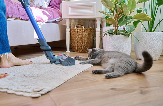 HEPA Vacuuming Process