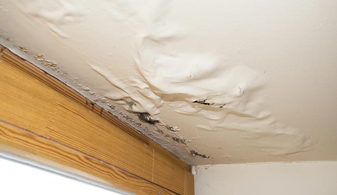 Professional roof leak water damage restoration service
