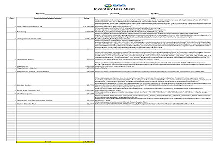 Inventory Loss Sheet
