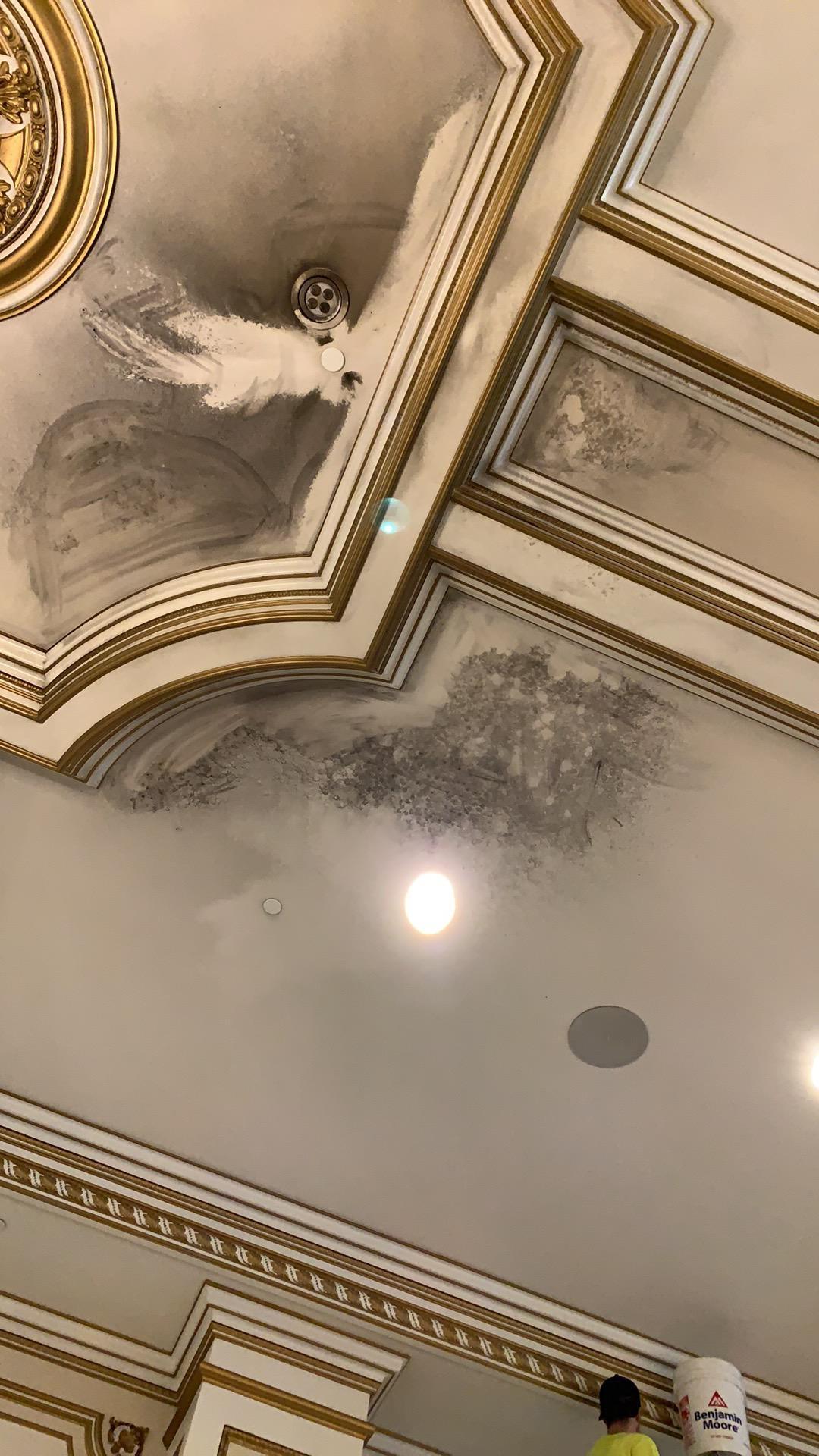 Smoke damage