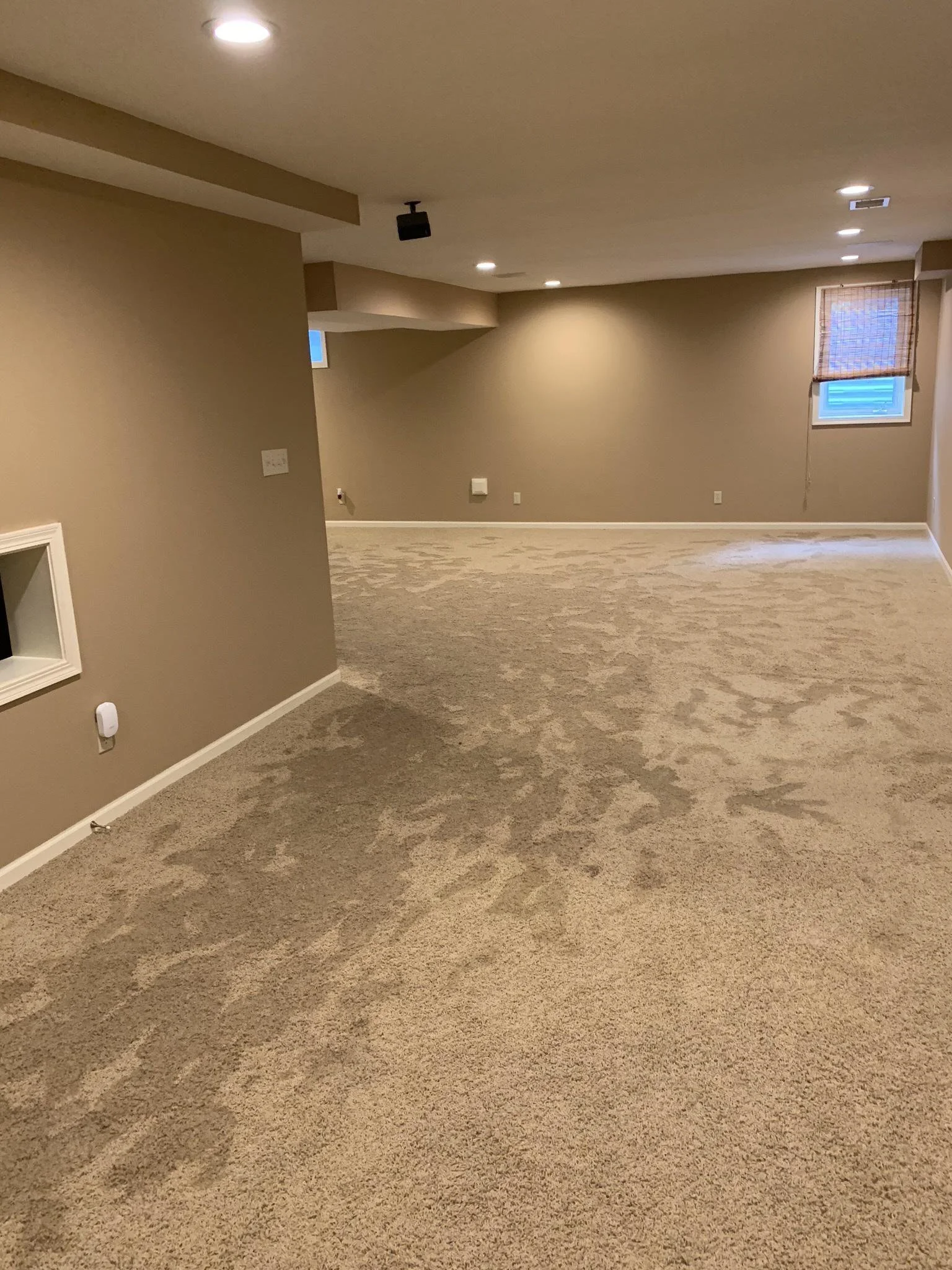 water damage to carpet