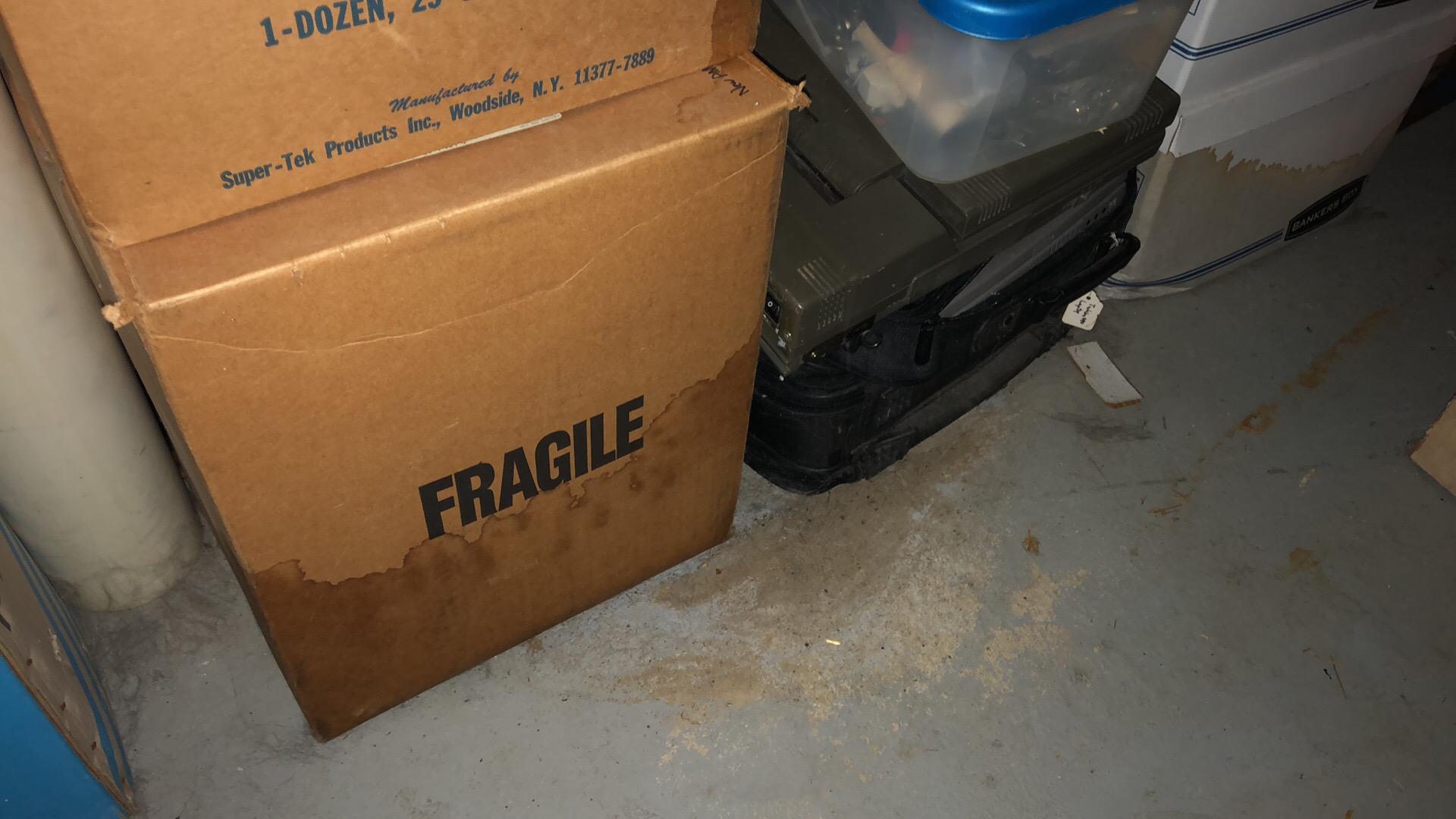 Marcia M. - Short Hills, NJ