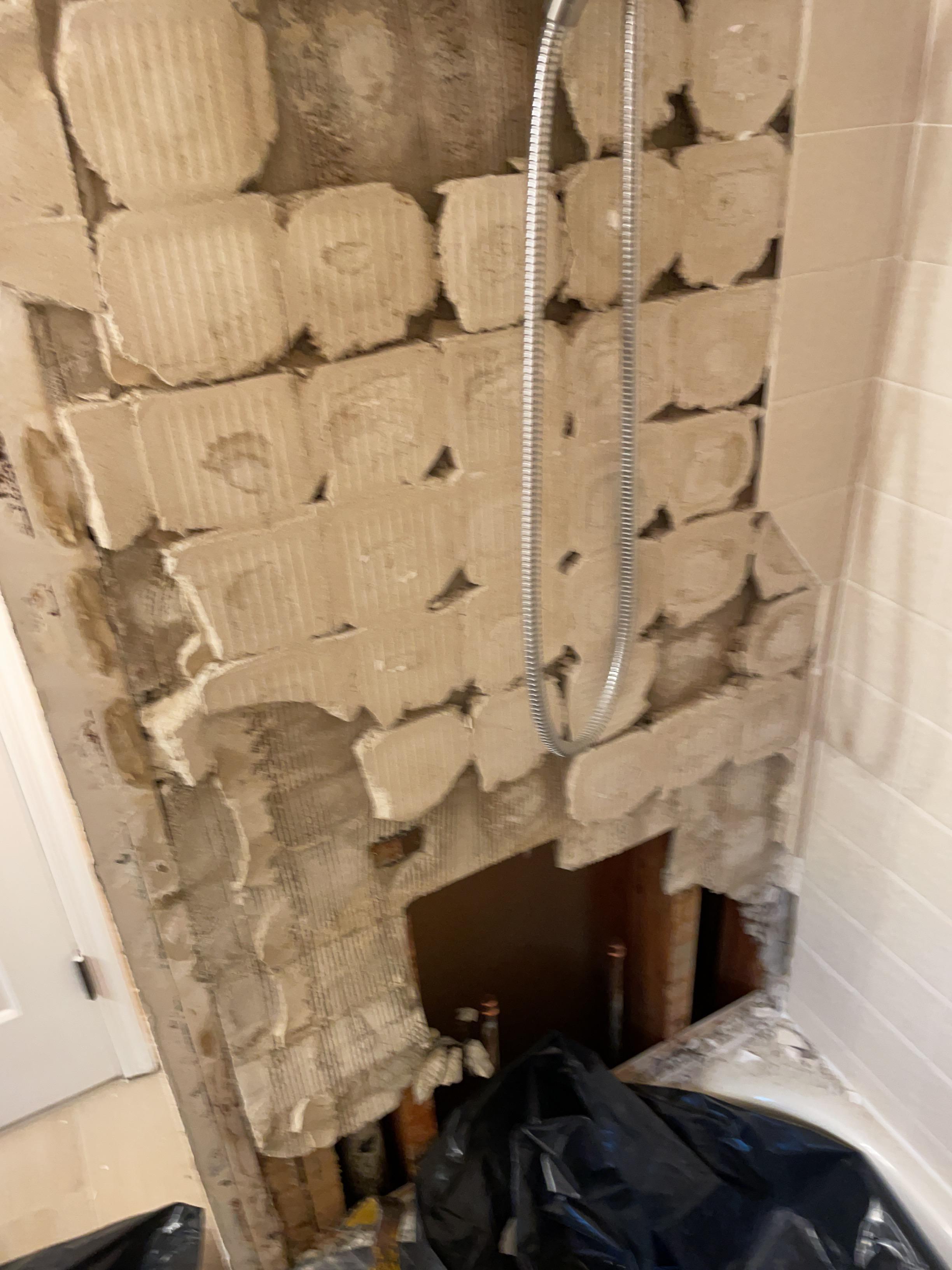 Shower damage