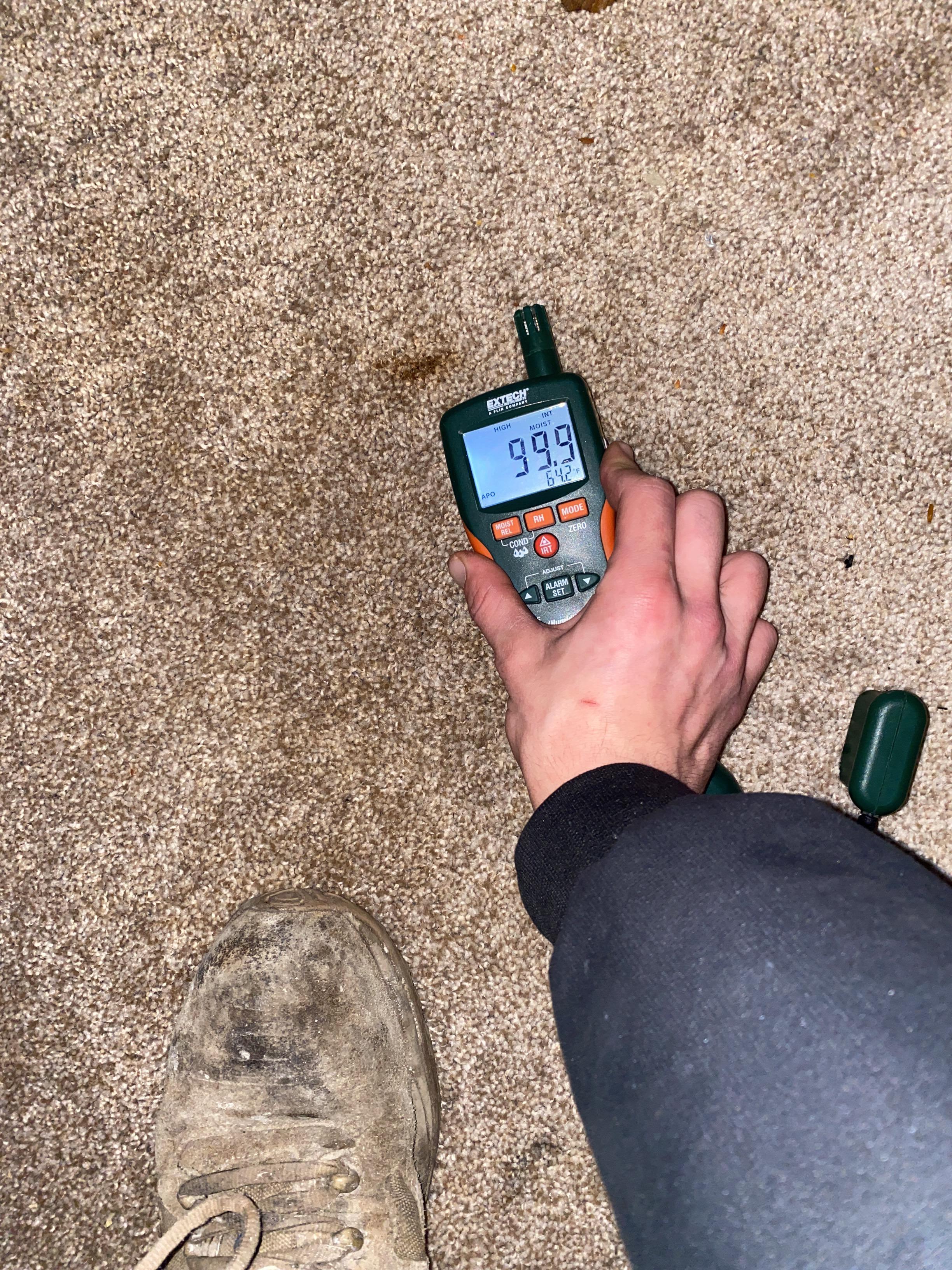 Wet carpet