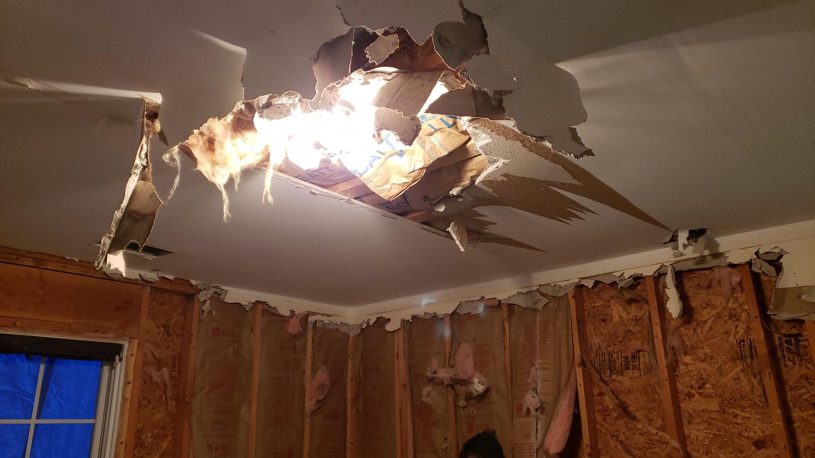 Tree damage