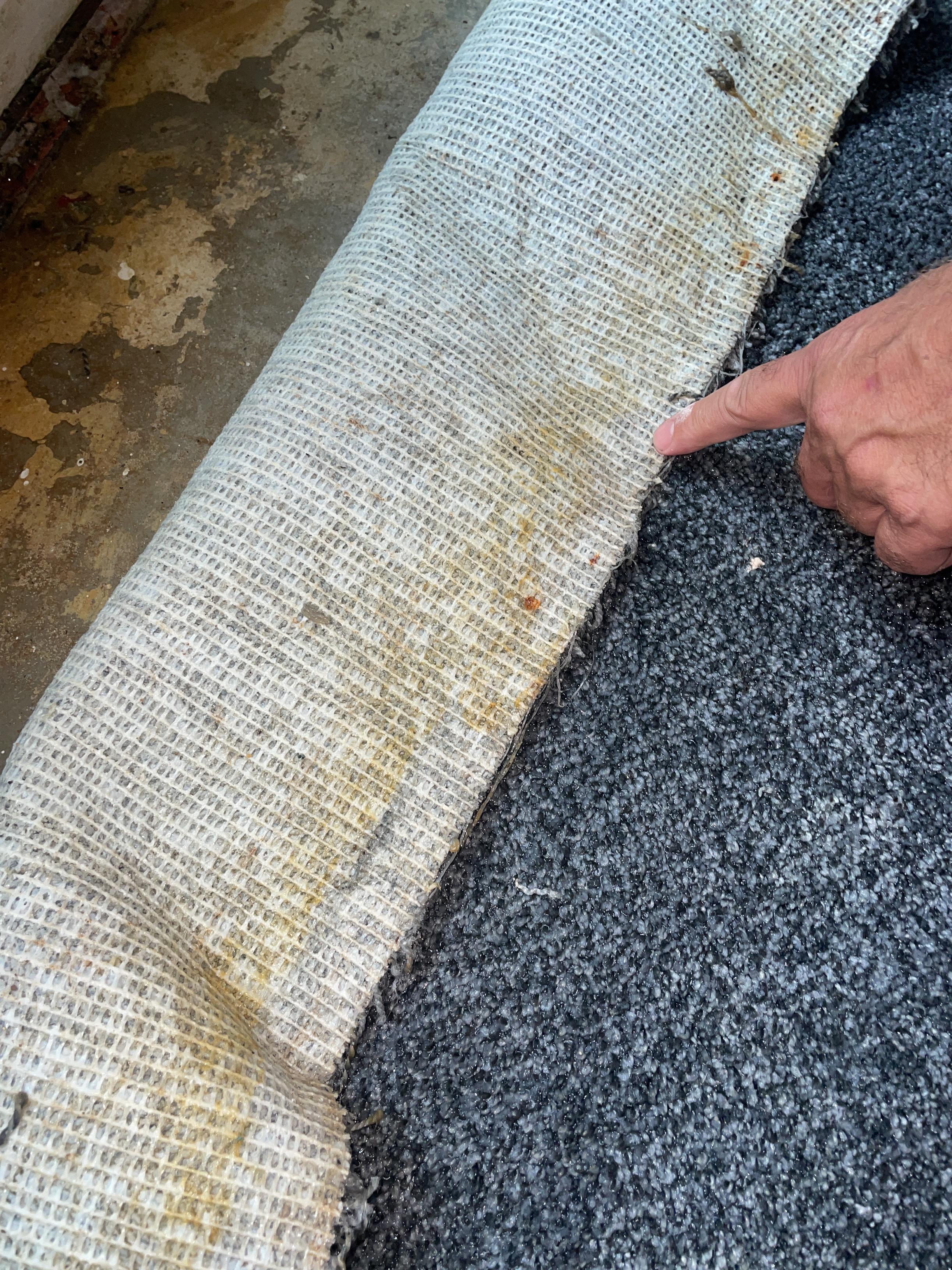 Water damage to rug