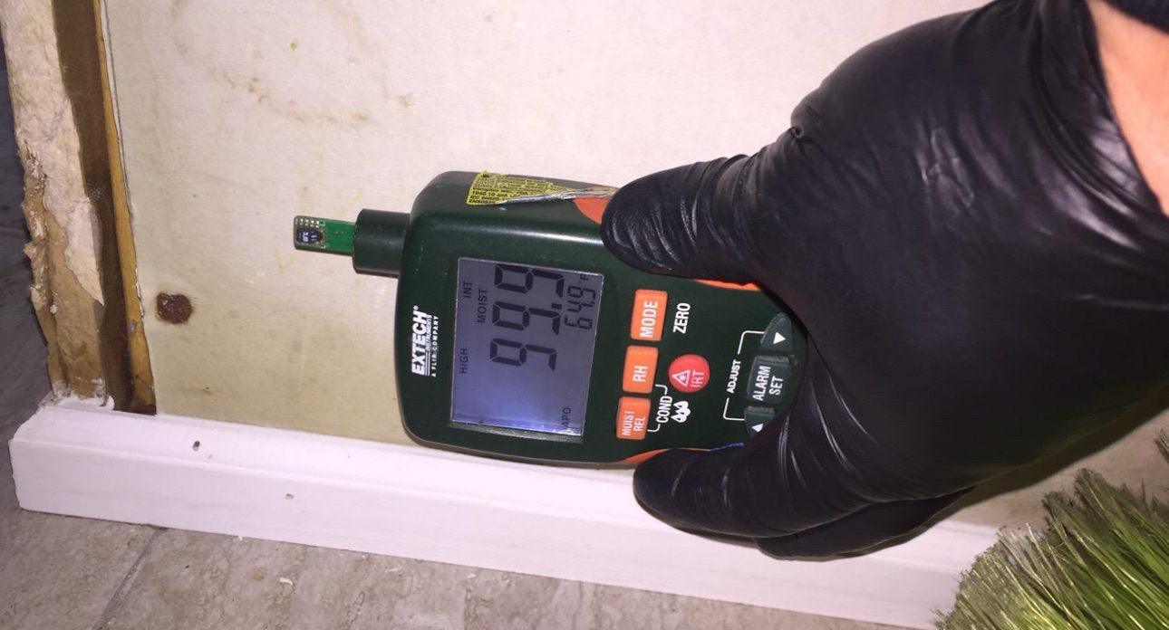 Moisture reading