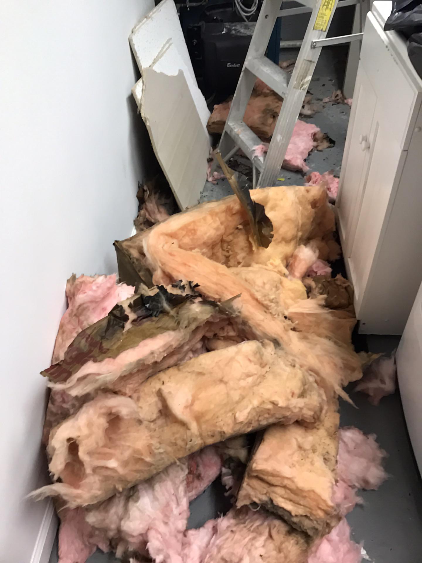 Affected material removed