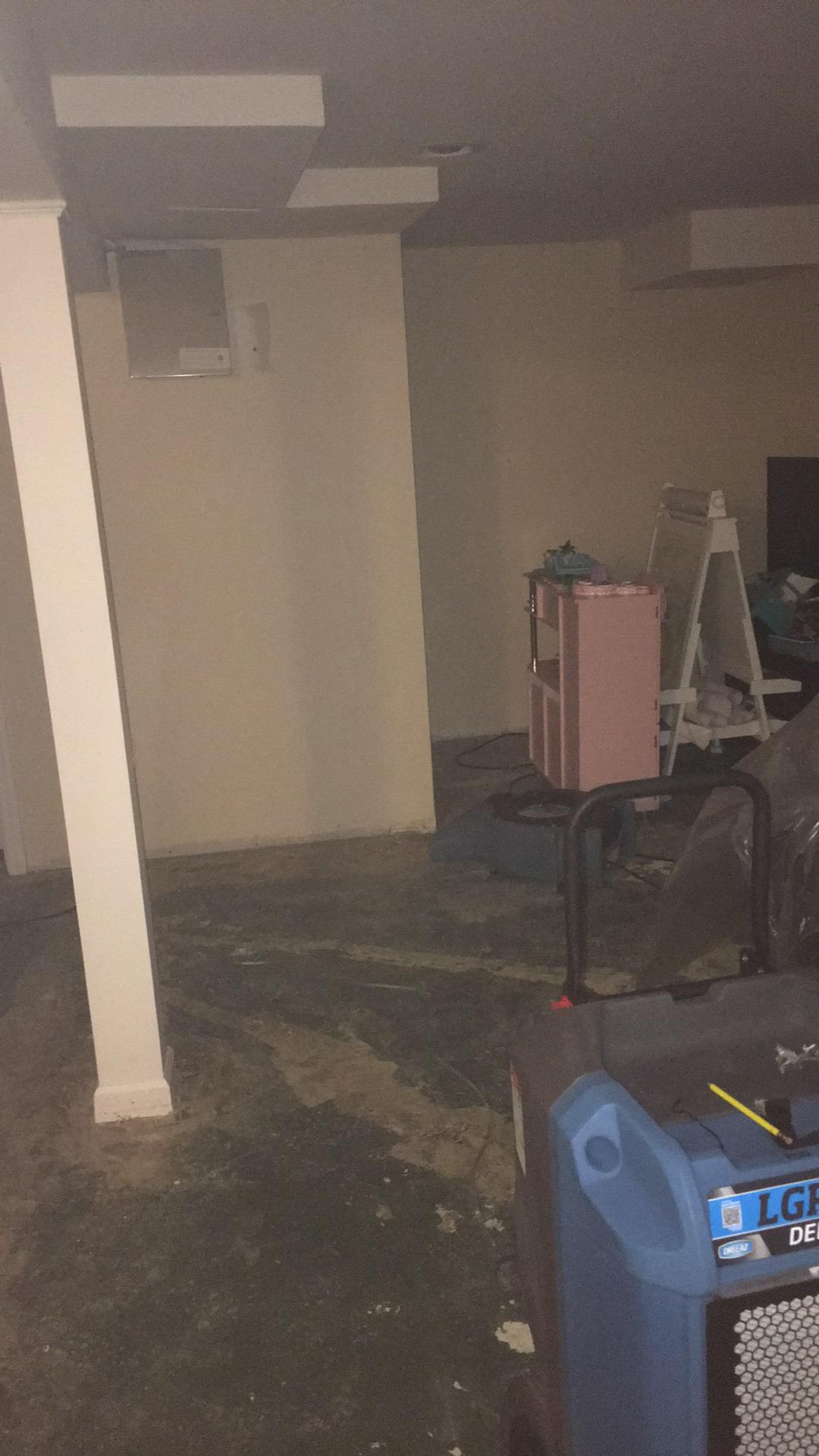 Water damaged carpet removed