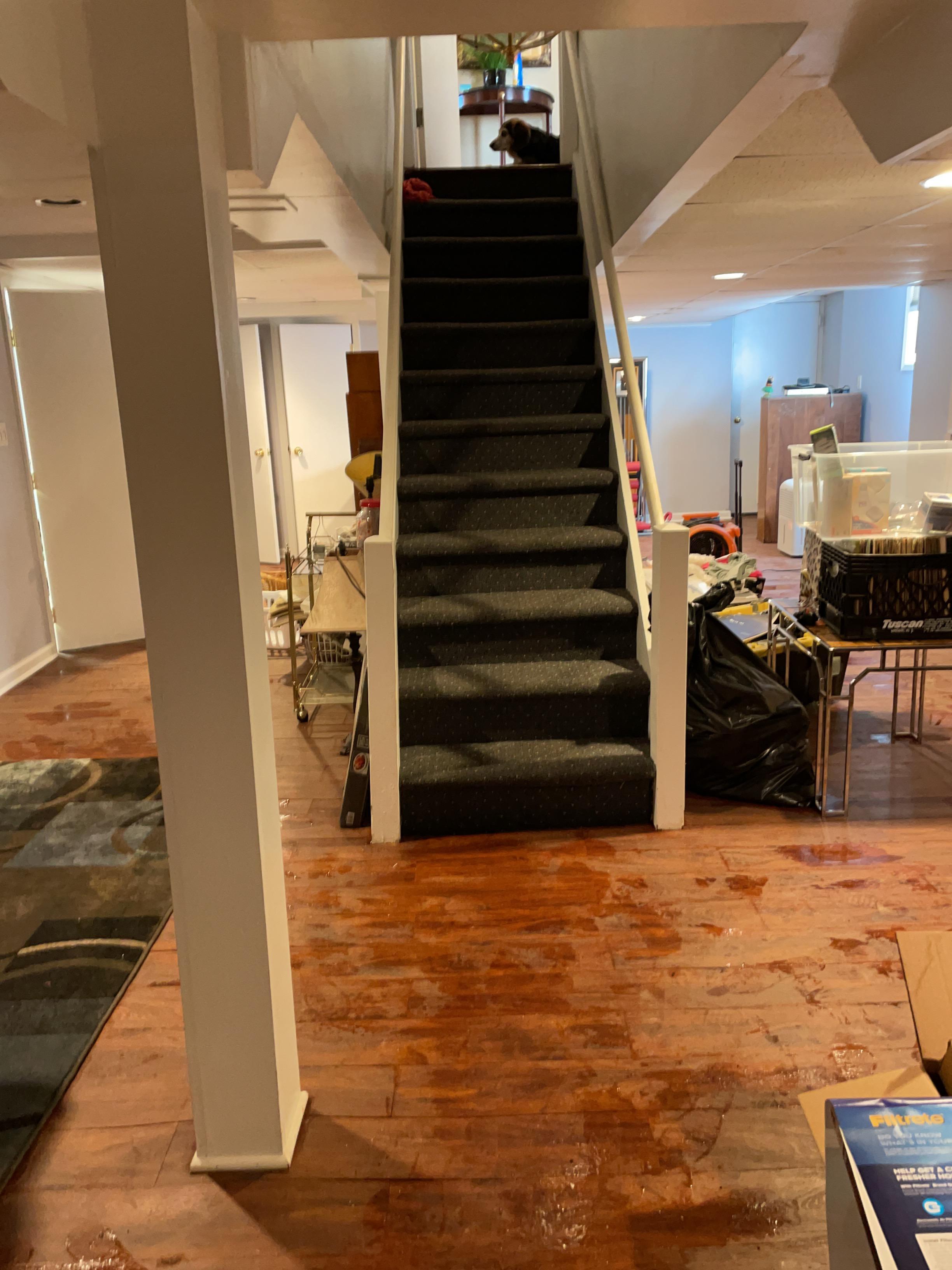 Water damage in basement