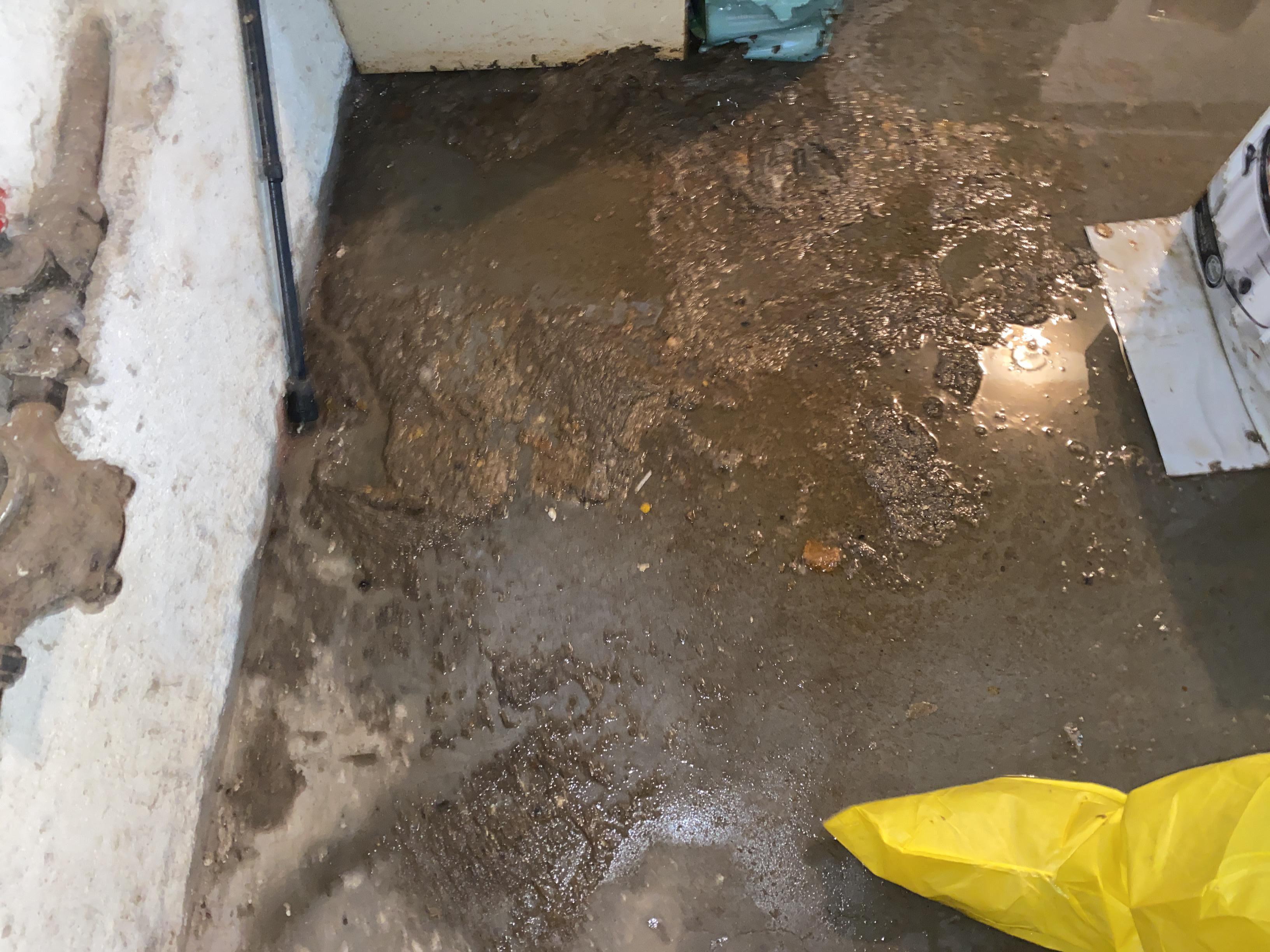 Sewage cleanup