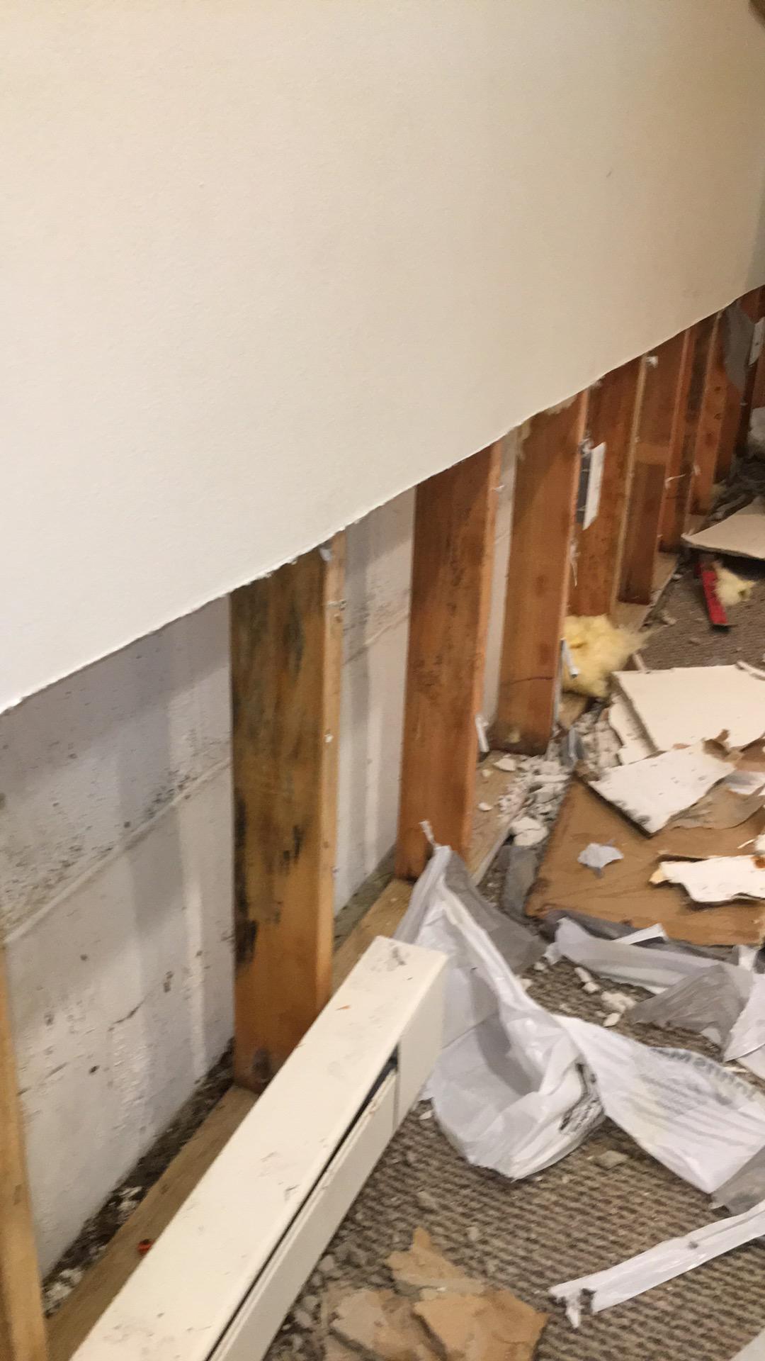 Removing affected material