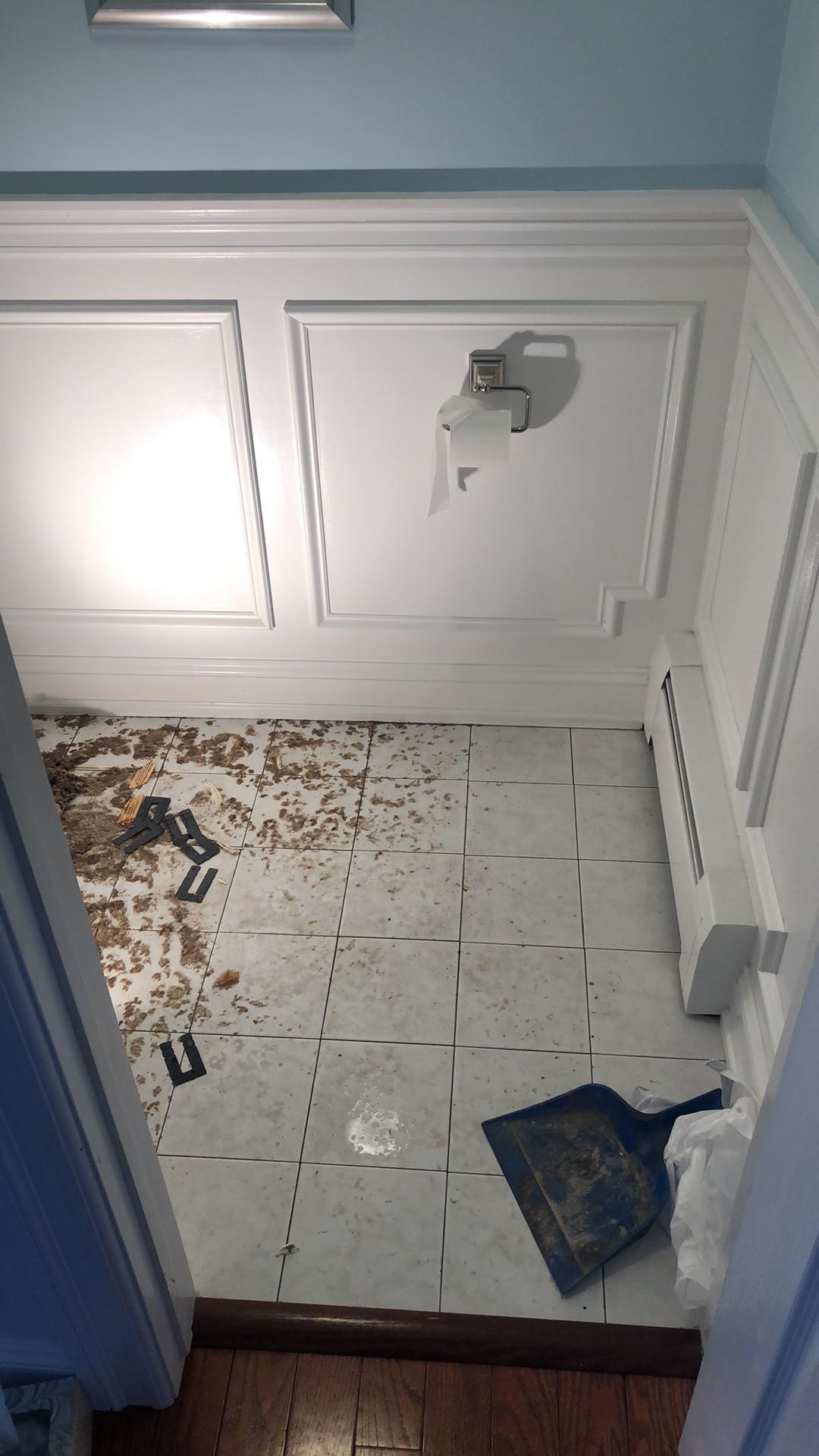 Bathroom damage
