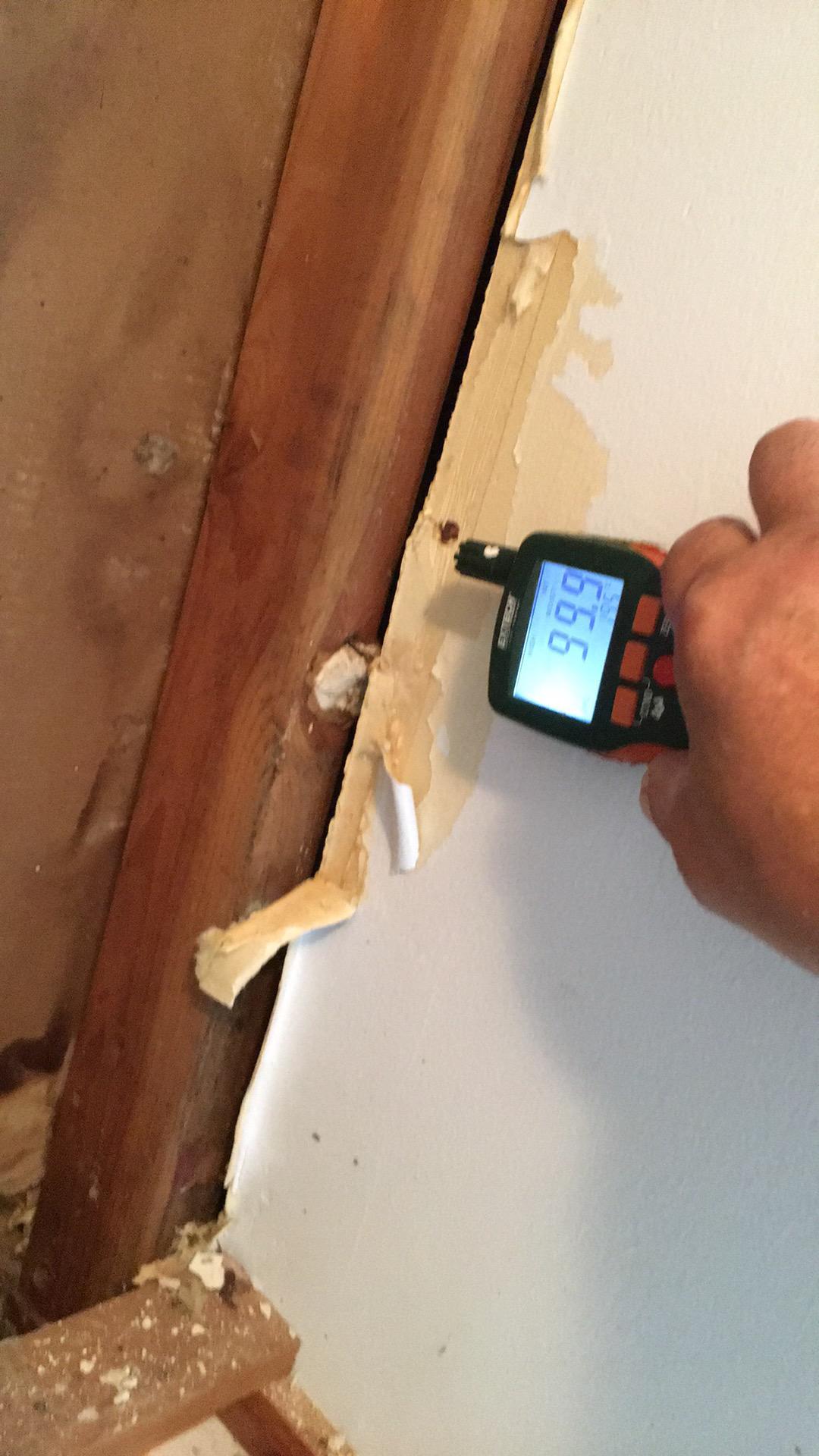 Moisture level reading