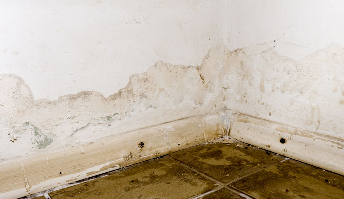 Water Damage 1