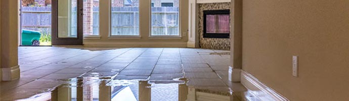 Appliance leak water damage