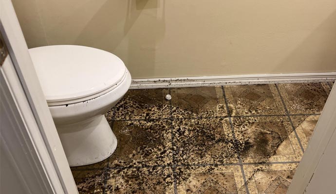 Prevent Sewage Backup