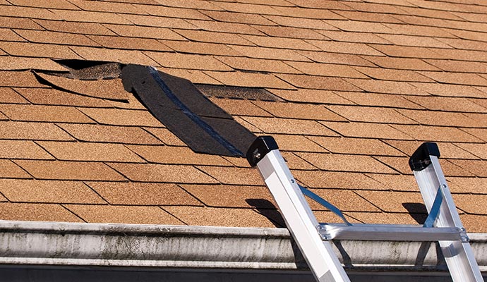 Roof Water Damage Restoration
