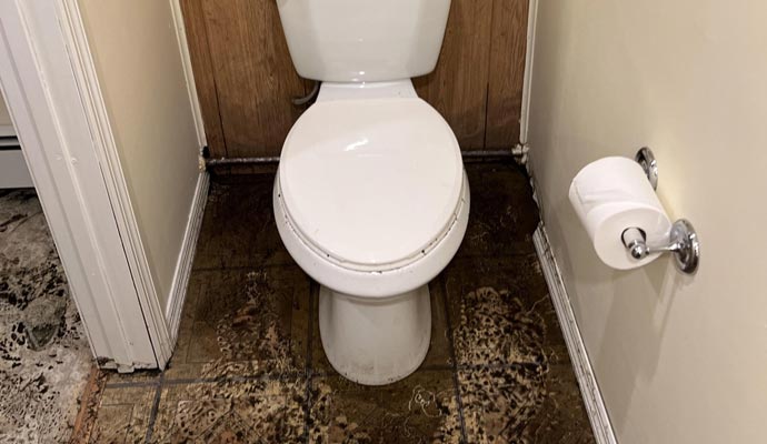 Sewage Removal & Cleanup