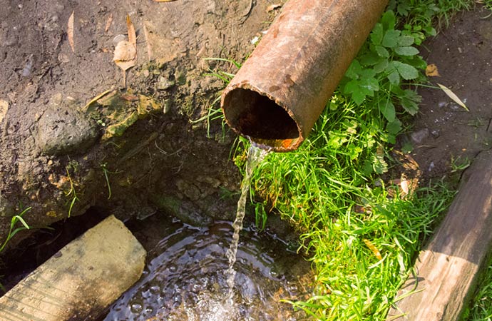 sewer backs up