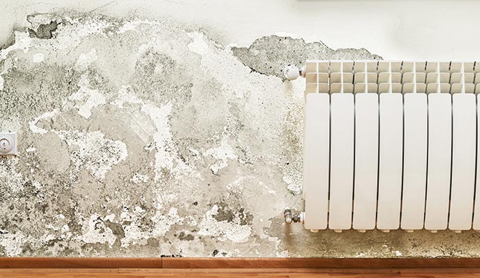 Best Water Damage Restoration Service